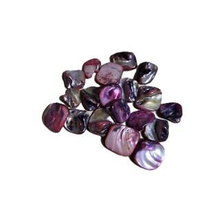 Bag of 19 Abalone Shell Beads Used For Jewelry Making